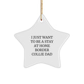 Funny Border Collie Dad Star Ornament Gifts for Christmas, 'I Just Want To Be A Stay At Home Border Collie Dad', Unique Gifts from Family - Image 1